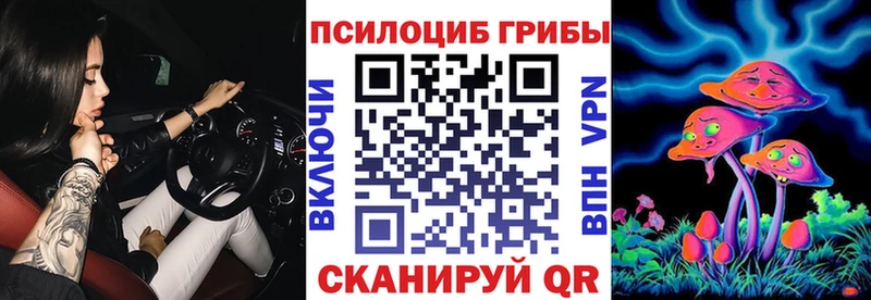 купить наркотик  Ужур  Псилоцибиновые грибы мухоморы 